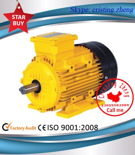Y2 Series Three-phase Induction Motor