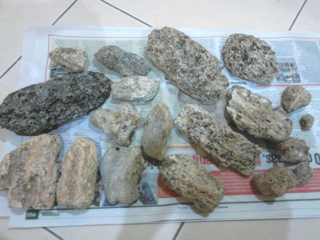 Ambergris,Anbar,whale vomit