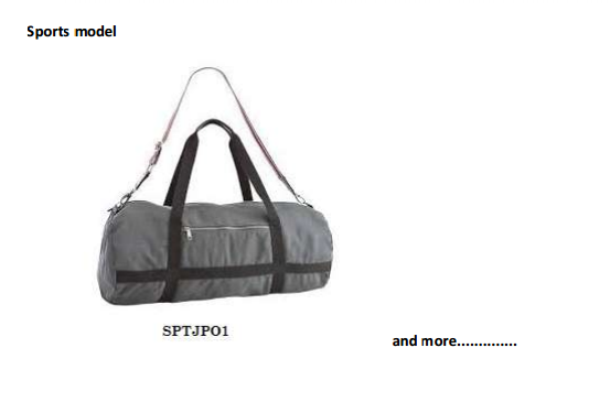 Sports Model Bag