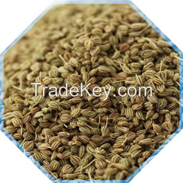 AJWAIN - Bishops seed