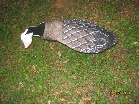 Blue Goose Decoys