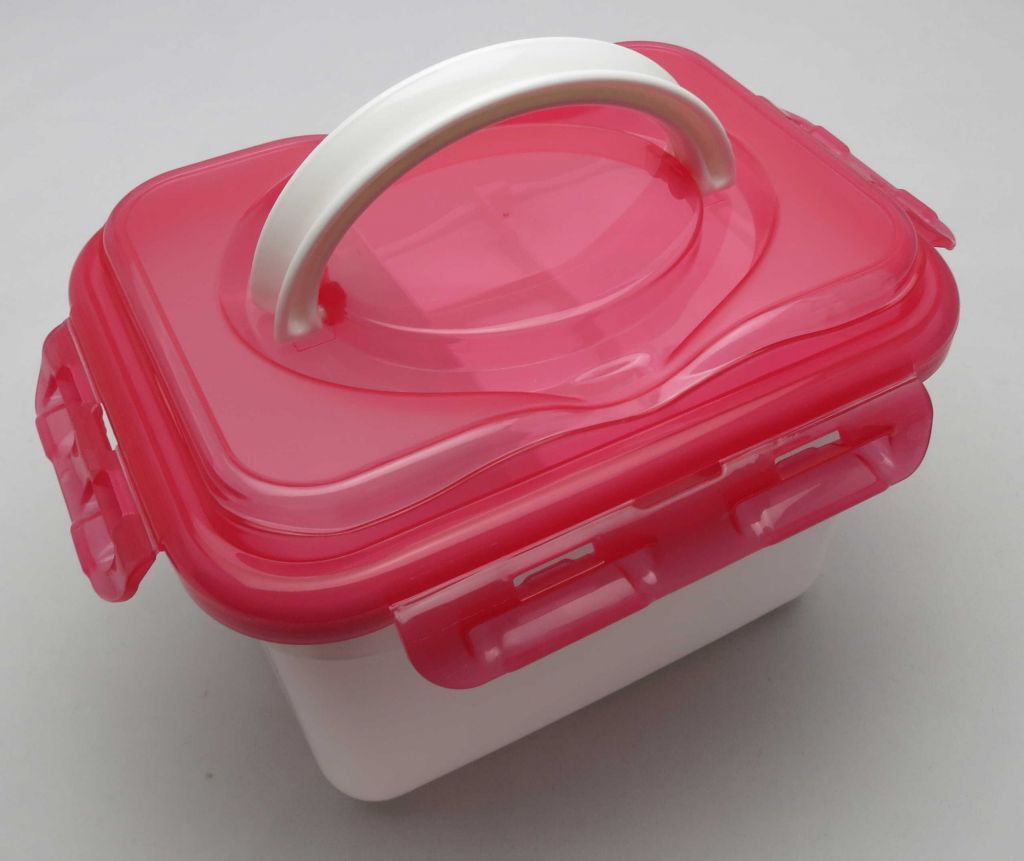 Plastic Portable Airtight Medicine Box