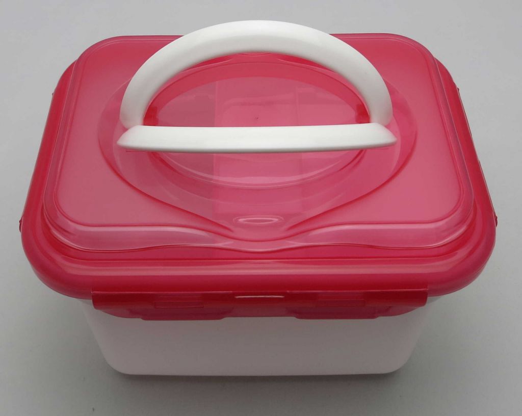 Plastic Portable Airtight Medicine Box