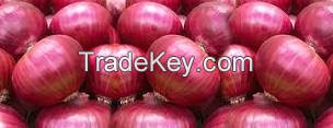 Fresh Red Onion