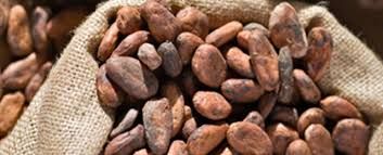 Cocoa Beans