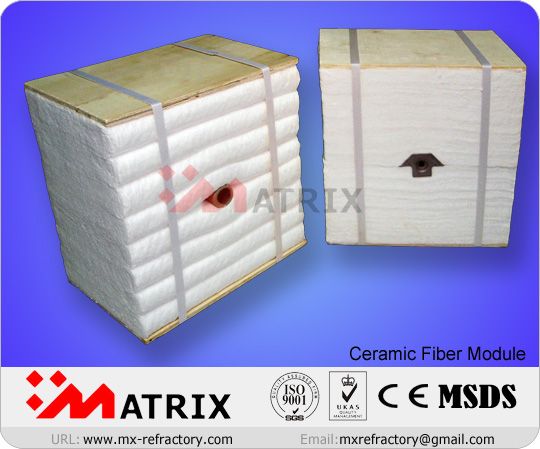 Ceramic Fiber Module