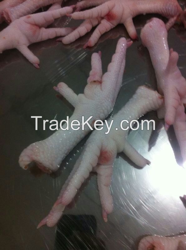 Chicken feet/paws/claws