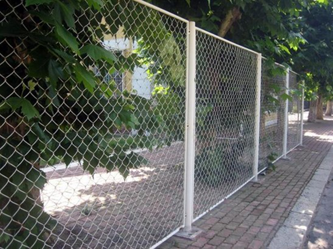 Courtyard Fence