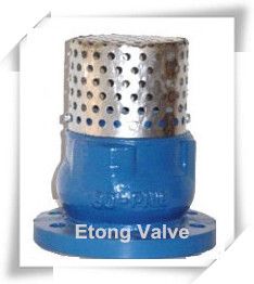 Foot Valve  Check with Strainer