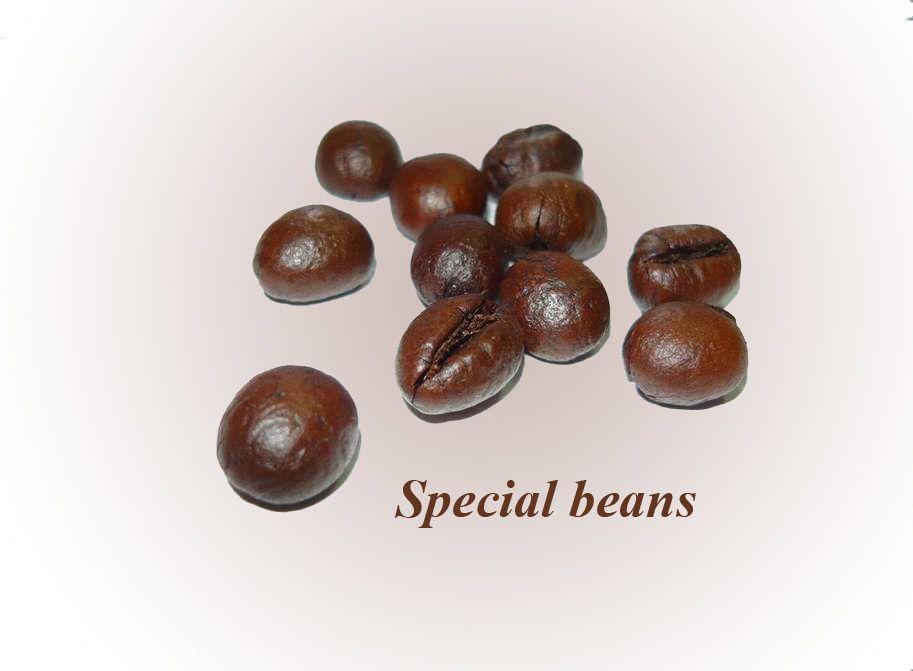 Roasted Coffee Beans (Culi)