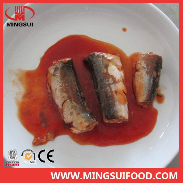 Canned Mackerel in oil/brie/tomato sauce