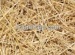 Hay Straw