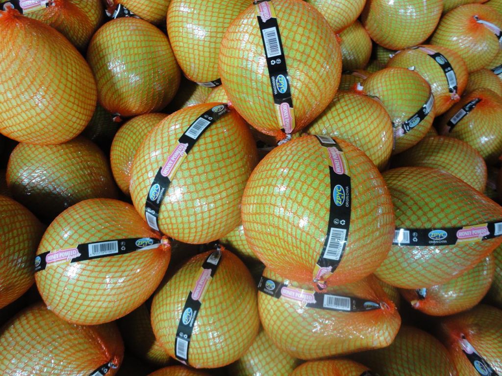 Chinese Fresh pomelo