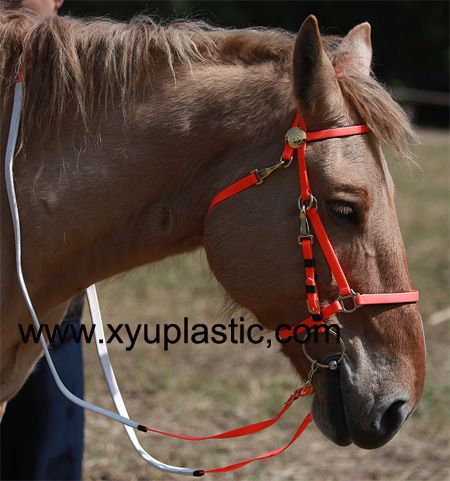 PVC endurance horse bridle and halter for horse racing