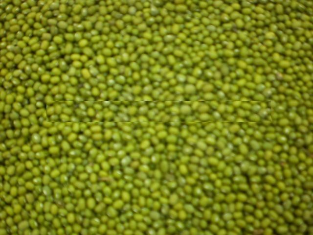 QUALITY GREEN MUNG BEANS FOR SALE AT AFFORDABLE PRICE