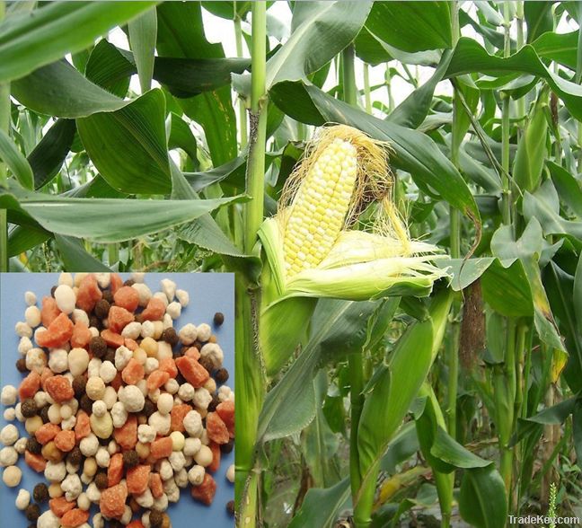 Corn Sepcial Formula Fertilizer