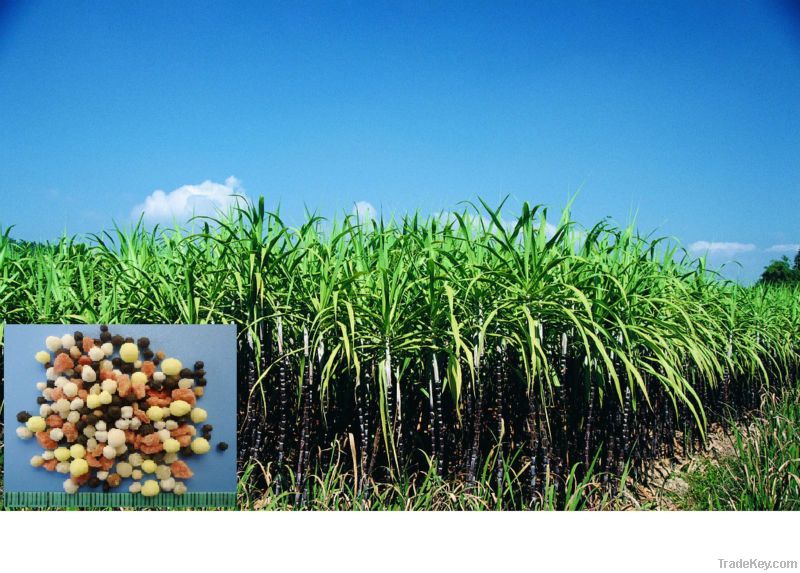 Sugarcane special fertilizer