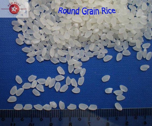Vietnam Round Rice 5% broken
