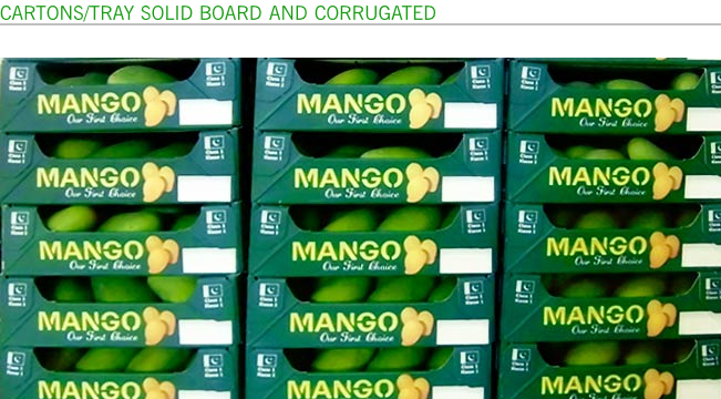 Mango Cartons