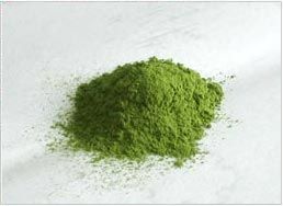 Fennel Powder