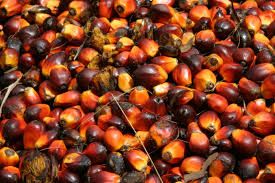 we have Palm oil for sell