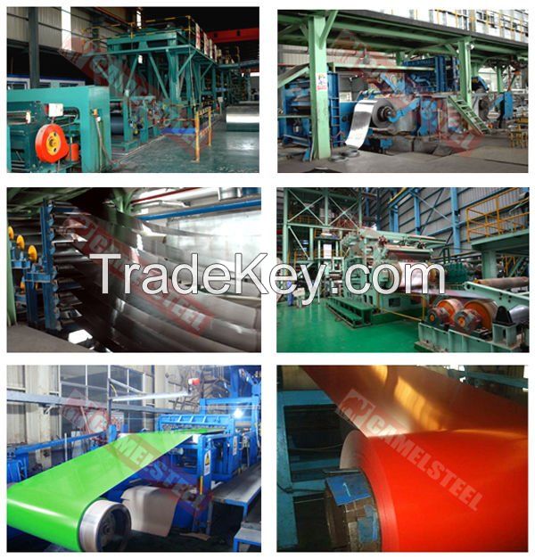 printing galvanised steel coil form Zibo Camel China