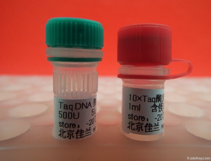 Taq DNA Polymerase, 1000U