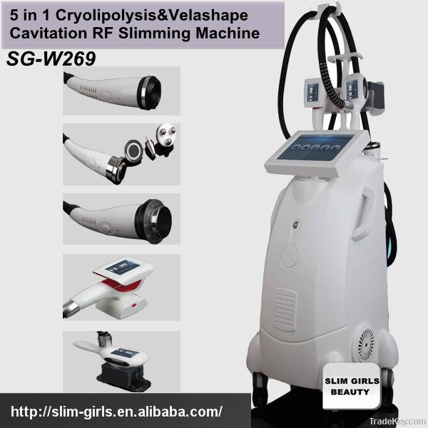 Latest weight loss beauty equipment cryolipolysis machine with 2 years