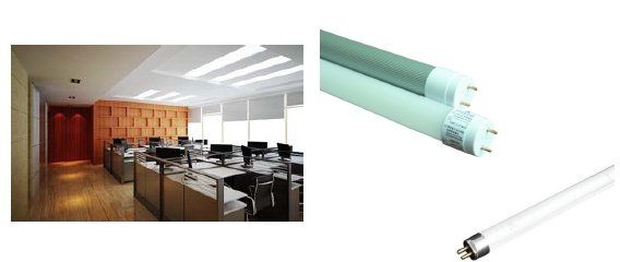 Fluorescent Lamp