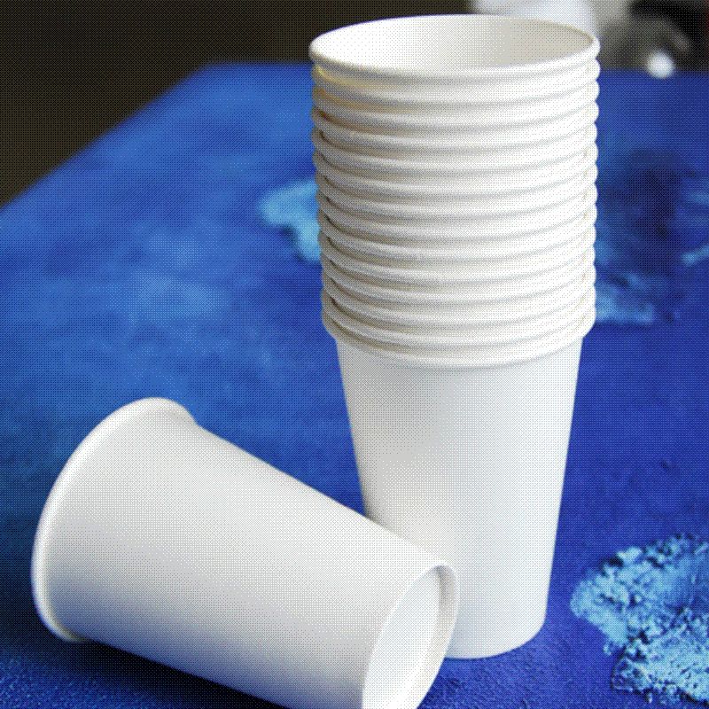 Disposable Hot Coffee Paper Cup