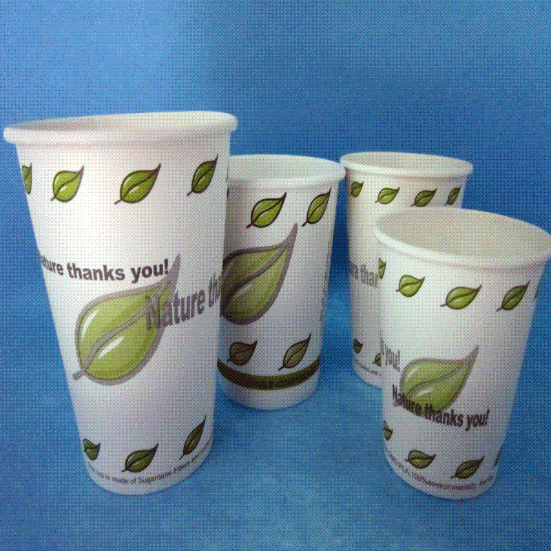 Compostable PLA Paper Coffee Cup
