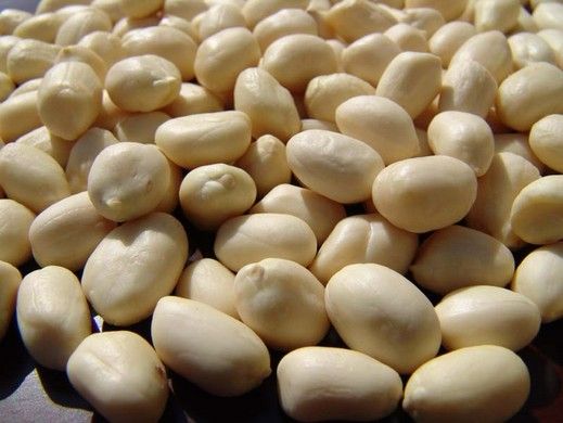 Blanched Peanut Kernels