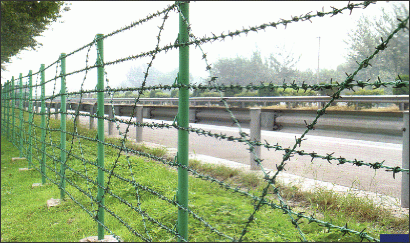 razor barbed wire fence