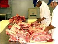 Frozen Halal Beef Meat