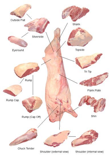 Bovine, Lamb and Mutton Meat