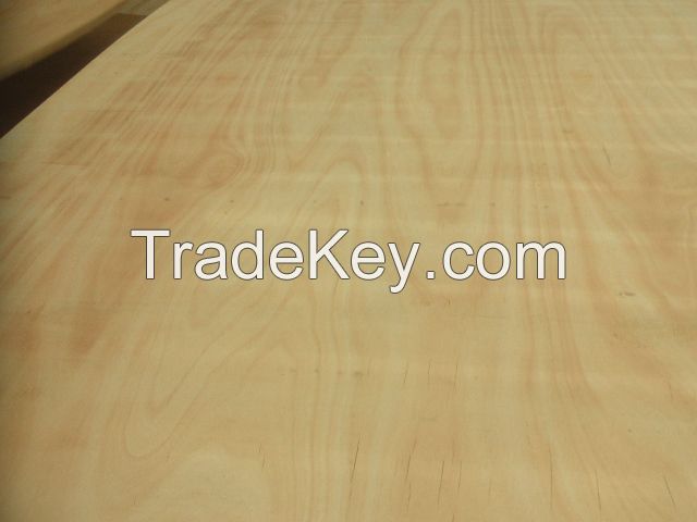 Vietnam industrial plywood