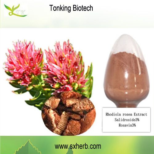 Direct Manufacturer supply Rhodiola rosea plant extract
