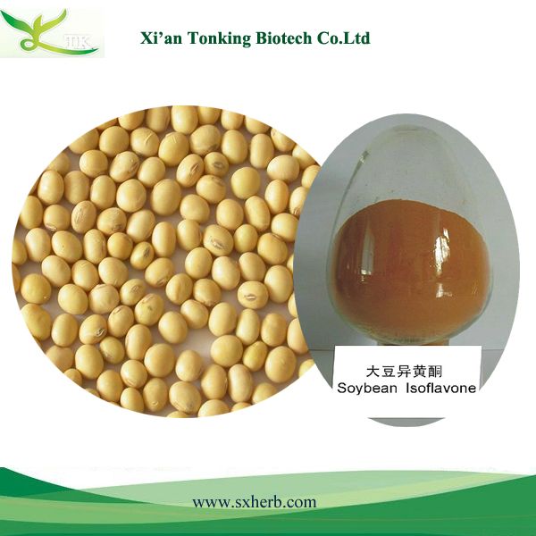 100% Natural Soybean Extract  Soy Isoflavone