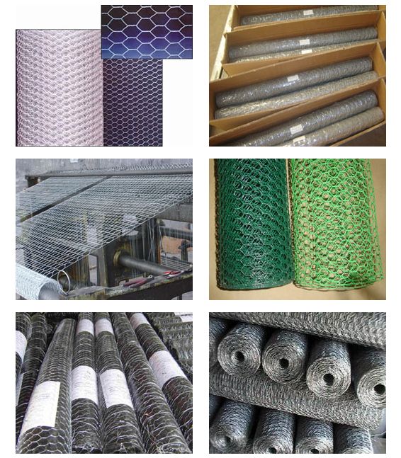 Hot dipped galvanized Hexagonal Wire Netting / Chicken Mesh/ Animal farming mesh