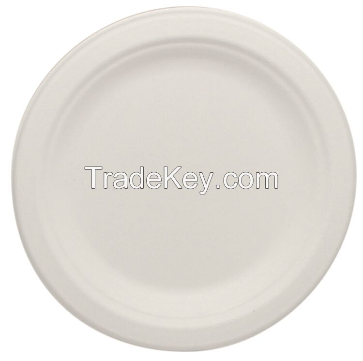 Disposable Bagasse Sugarcane Compostable Plate