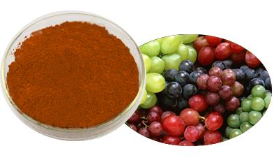 Grape Seed extract