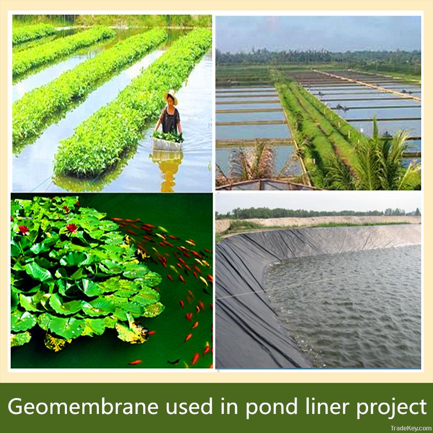 geomembrane used in sea farming