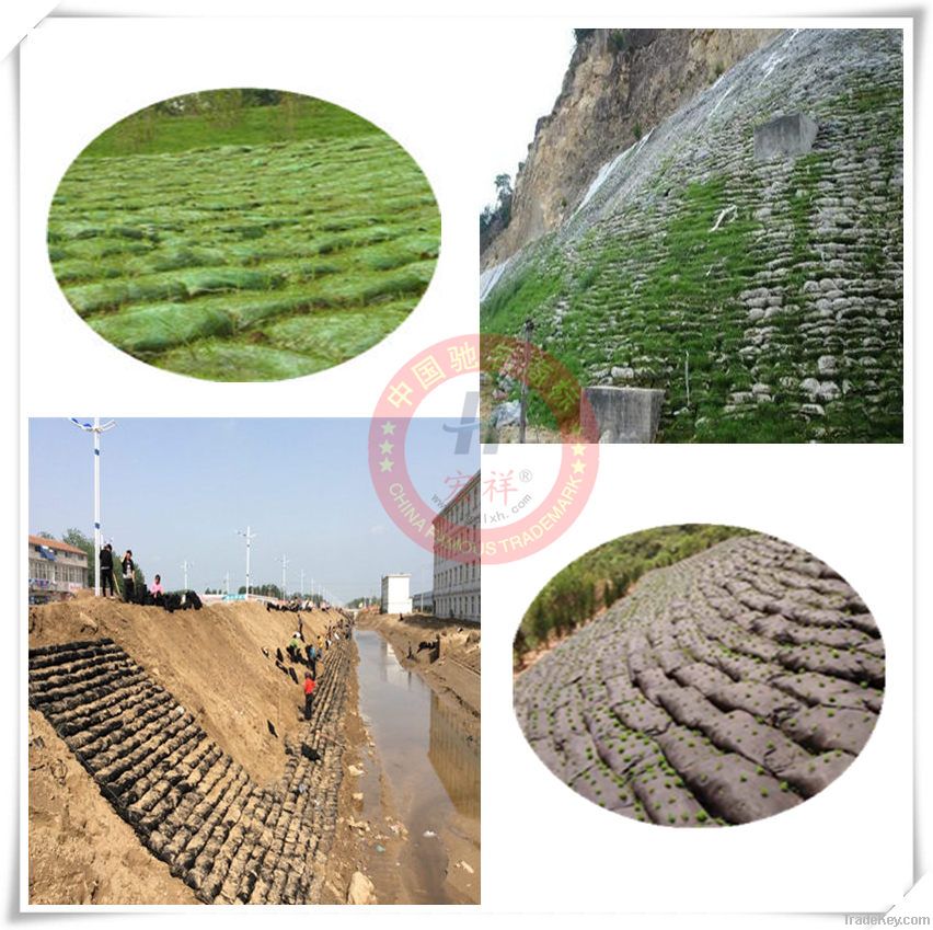 geotextile planting grow bags