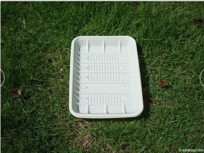 disposable plastic tray&plate&food tray&eco friendly