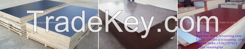 1220*2440mm 18mm black brown red finger joint film faced plywood