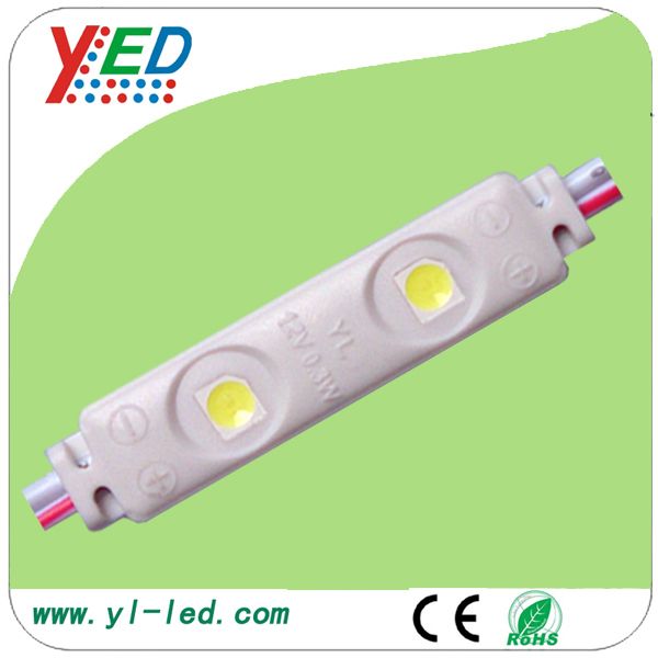 12V 0.3W waterproof  injection LED module 2 LEDs  