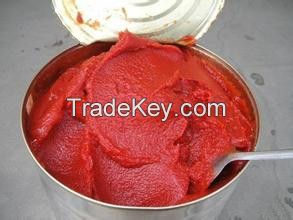 High Quality Aseptic Tomato Paste