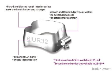 Orthodontic Molar bands