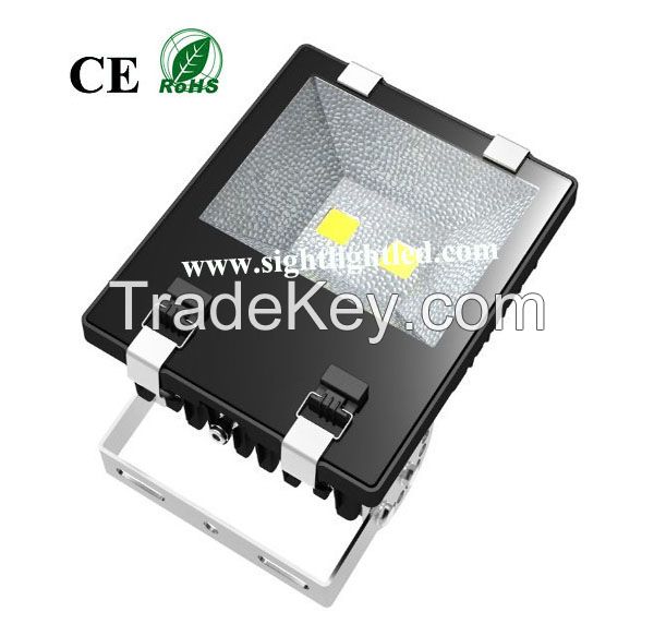 100W LED New Floodlight