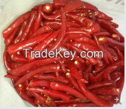 Frozen Red Chili